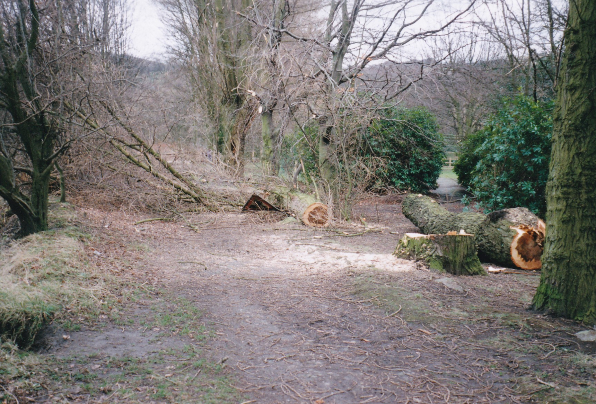 Nuttall Park
14-Leisure-01-Parks and Gardens-001-Nuttall Park General
Keywords: 1980