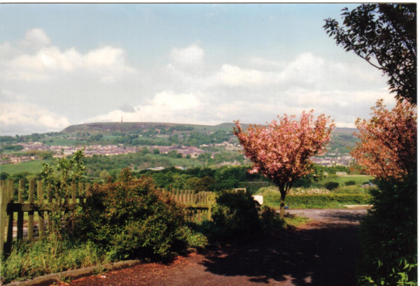 View of Holcombe Hill 
18-Agriculture and the Natural Environment-03-Topography and Landscapes-001-Holcombe Hill
Keywords: 1987