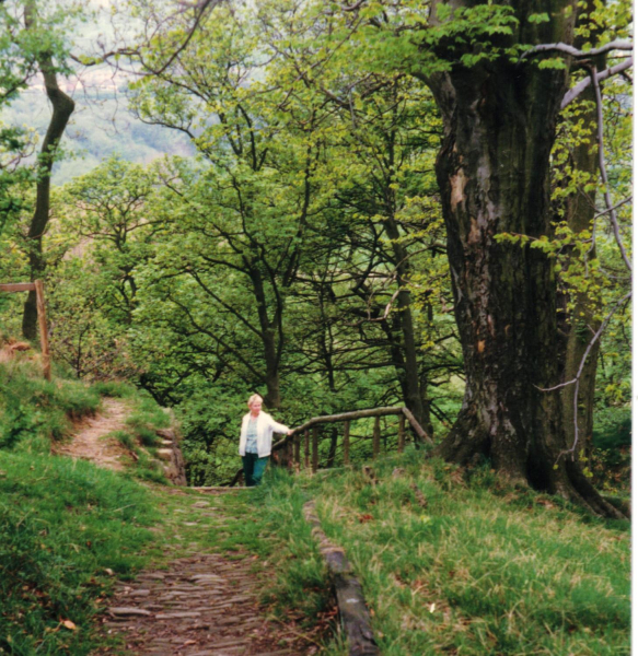 Top of Jacob's ladder 
14-Leisure-01-Parks and Gardens-001-Nuttall Park General
Keywords: 1987