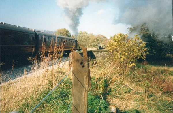 Steaming through Nuttall Park 
14-Leisure-01-Parks and Gardens-001-Nuttall Park General
Keywords: 1988