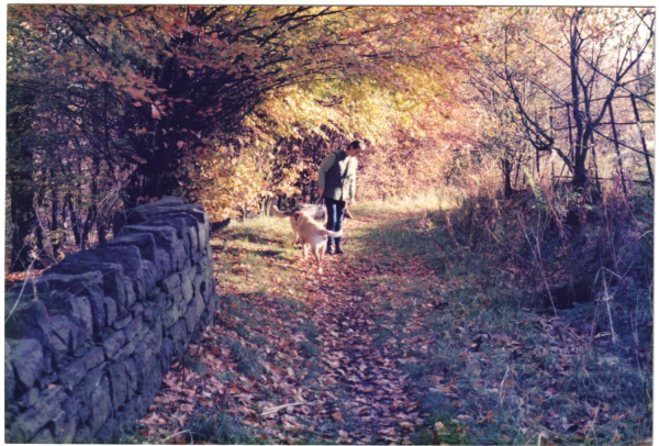 Out for a walk in the woods at Stubbins
17-Buildings and the Urban Environment-05-Street Scenes-027-Stubbins Lane and Stubbins area
Keywords: 1989