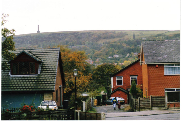 Holcombe Hill from Linden Avenue
18-Agriculture and the Natural Environment-03-Topography and Landscapes-001-Holcombe Hill
Keywords: 1989