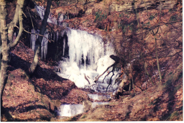 waterfall in Redisher Woods 
17-Buildings and the Urban Environment-05-Street Scenes-013-Holcombe Brook Area
Keywords: 1989