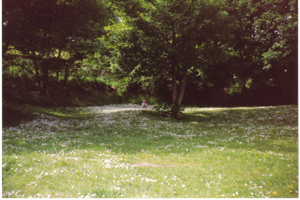 Spring Time near the Old Mill 
17-Buildings and the Urban Environment-05-Street Scenes-006-Carr Street and Tanners area
Keywords: 1990