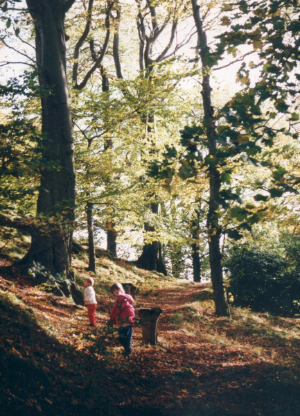 2 children playing in the trees at Nuttall park
14-Leisure-01-Parks and Gardens-001-Nuttall Park General
Keywords: 1990