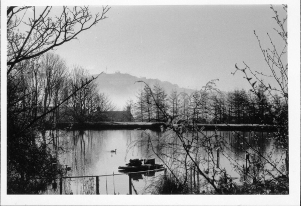 Springwood Lodge ( Devil's Hole ) Black and White picture 
17-Buildings and the Urban Environment-05-Street Scenes-006-Carr Street and Tanners area
Keywords: 1990