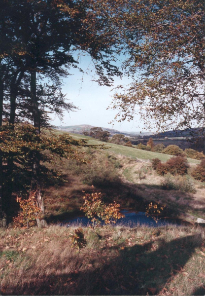 Rossendale Valley from Tub Lodge 
18-Agriculture and the Natural Environment-03-Topography and Landscapes-000-General

Keywords: 1990