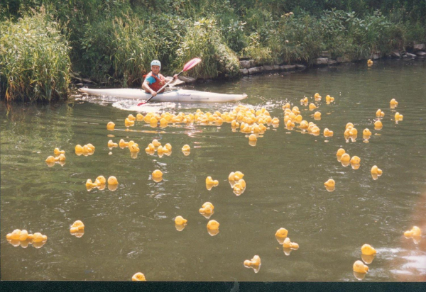 Duck Race Nuttall Park
14-Leisure-01-Parks and Gardens-001-Nuttall Park General
Keywords: 1992