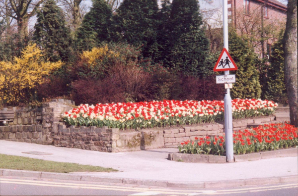 Daffodil display in Kay Brow 
17-Buildings and the Urban Environment-05-Street Scenes-031 Bolton Street
Keywords: 1992