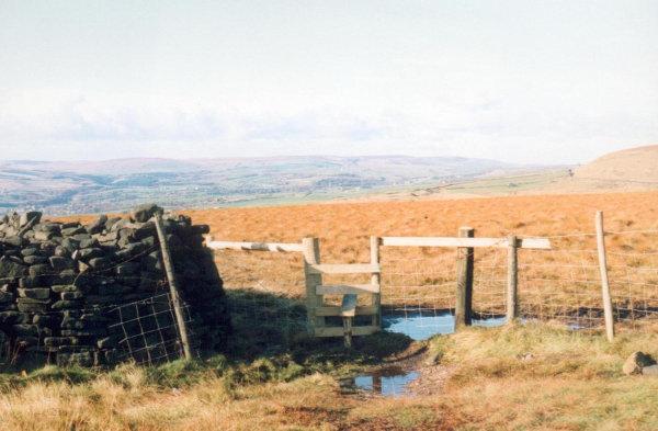 New stile on Holcombe Hill 
18-Agriculture and the Natural Environment-03-Topography and Landscapes-001-Holcombe Hill
Keywords: 1992