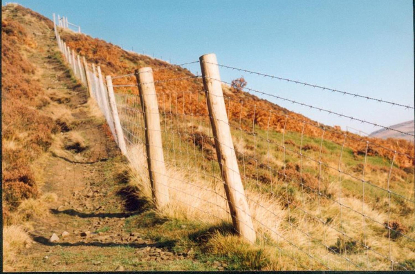 Dangerous barbed wire fence erected on Holcombe Hill 
18-Agriculture and the Natural Environment-03-Topography and Landscapes-001-Holcombe Hill
Keywords: 1992