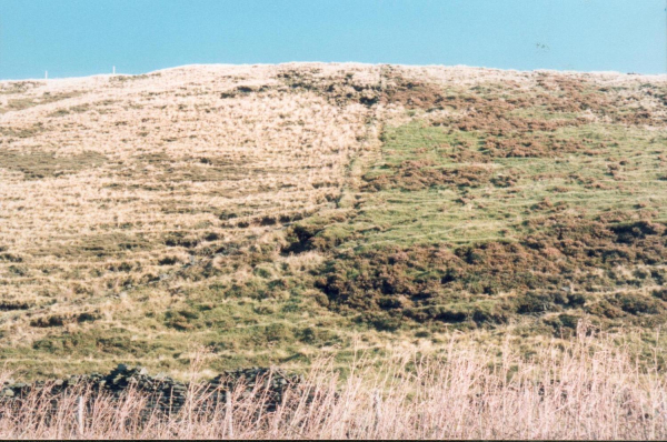 Holcombe Heather survey
18-Agriculture and the Natural Environment-03-Topography and Landscapes-001-Holcombe Hill
Keywords: 1992