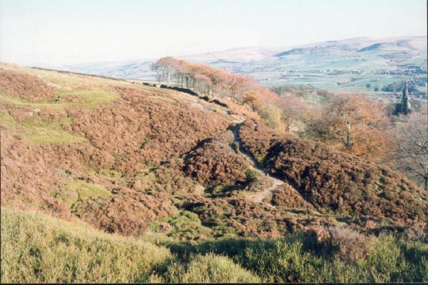 Holcombe Heather survey
18-Agriculture and the Natural Environment-03-Topography and Landscapes-001-Holcombe Hill
Keywords: 1992