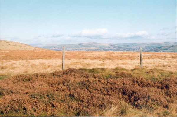 Holcombe Heather survey
18-Agriculture and the Natural Environment-03-Topography and Landscapes-001-Holcombe Hill
Keywords: 1992