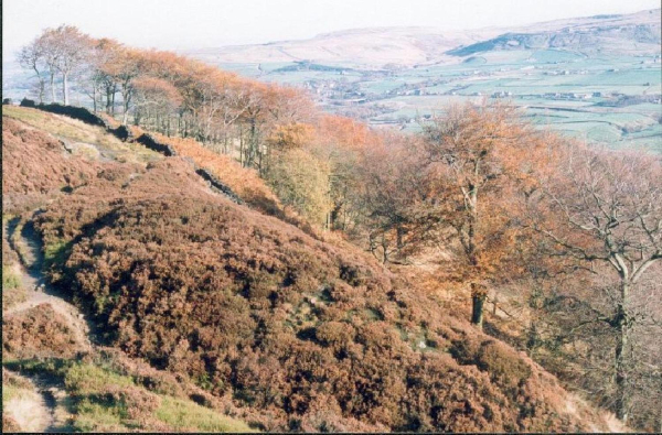 Holcombe Heather survey
18-Agriculture and the Natural Environment-03-Topography and Landscapes-001-Holcombe Hill
Keywords: 1992