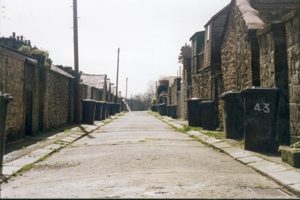 Wheelie Bins put out for the dustbin lorry - unknown street
17-Buildings and the Urban Environment-05-Street Scenes-000-General
Keywords: 1993