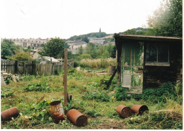 Back gardens
19-Animals and Plants-01-General-000-General
Keywords: 1995