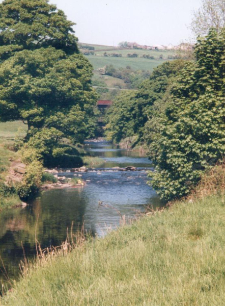 View of the River Irwell
18-Agriculture and the Natural Environment-03-Topography and Landscapes-000-General

Keywords: 1997