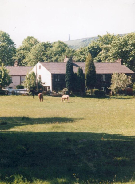 View of Holcombe Hill
18-Agriculture and the Natural Environment-03-Topography and Landscapes-000-General

Keywords: 1997