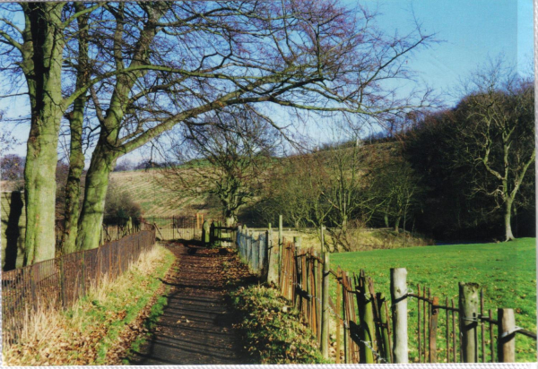 Irwell Sculpture Trail - Right through the gate to the trail 
18-Agriculture and the Natural Environment-03-Topography and Landscapes-000-General
Keywords: 1997