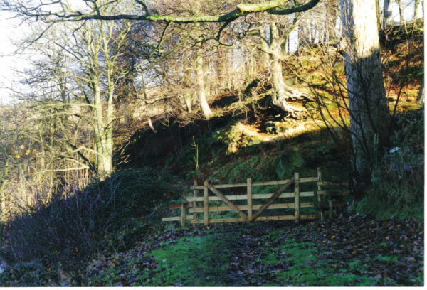 Irwell Sculpture Trail - Over the stile 
18-Agriculture and the Natural Environment-03-Topography and Landscapes-000-General
Keywords: 1997