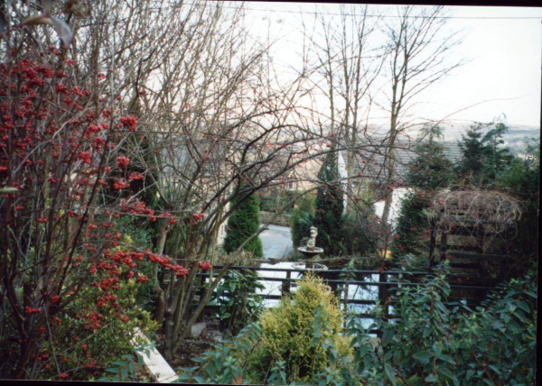 The Old Mill grounds 
17-Buildings and the Urban Environment-05-Street Scenes-006-Carr Street and Tanners area
Keywords: 1998