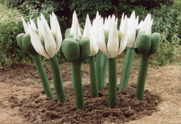 Sculpture in Nuttall Park
14-Leisure-01-Parks and Gardens-001-Nuttall Park General
Keywords: 1998