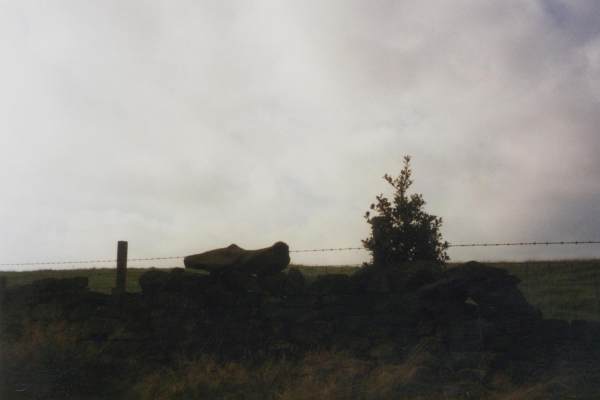 The Slipper Stone' near Grant's Tower
08- History-01-Monuments-001-Grant's Tower
Keywords: 1999