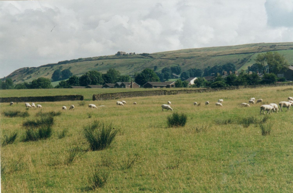 Looking North East from Edenfield to Valley View Farm
17-Buildings and the Urban Environment-05-Street Scenes-011-Edenfield
Keywords: 2001