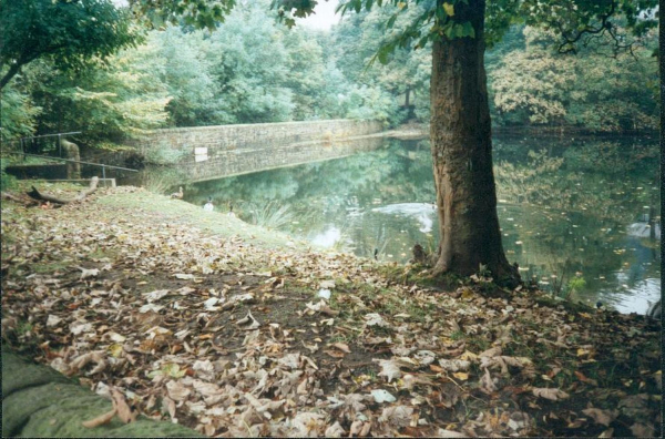 Autumn Tranquility - Springwood Lodge - Carr Bank
17-Buildings and the Urban Environment-05-Street Scenes-006-Carr Street and Tanners area
Keywords: 2001