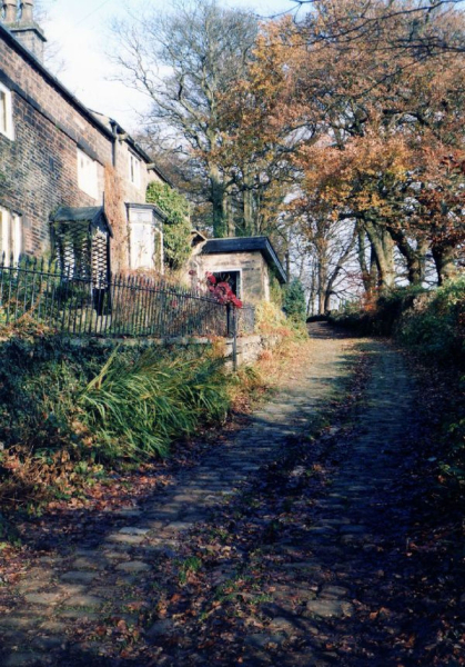 Holcombe Old Road?
to be catalogued
Keywords: 2002