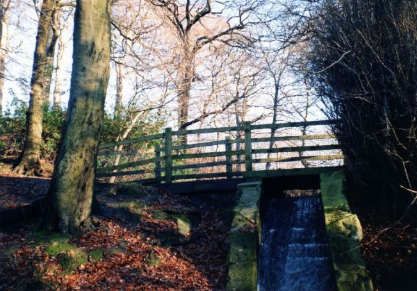 Waterfall in Nuttall Park
14-Leisure-01-Parks and Gardens-001-Nuttall Park General
Keywords: 2002