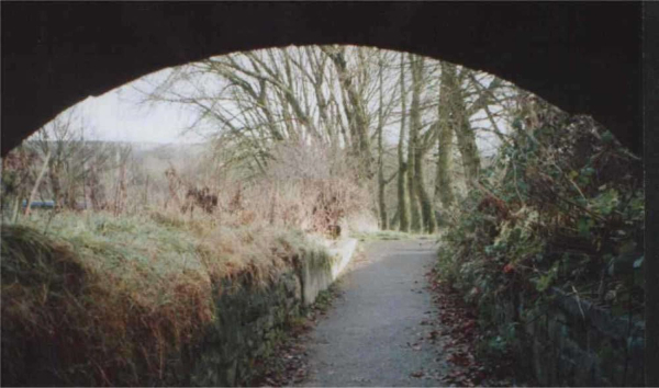 Under the railway bridge at Nuttall Park
14-Leisure-01-Parks and Gardens-001-Nuttall Park General
Keywords: 2003