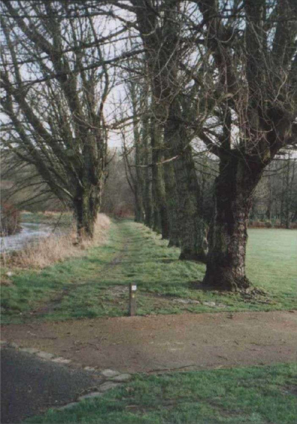 Avenue of poplars in Nuttall Park
14-Leisure-01-Parks and Gardens-001-Nuttall Park General
Keywords: 2003