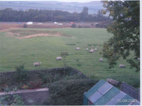 Sheep return to field west of Alderwood Grove, Edenfield
17-Buildings and the Urban Environment-05-Street Scenes-011-Edenfield
Keywords: 2003