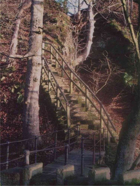 Jacob's ladder - Nuttall Wood
14-Leisure-01-Parks and Gardens-001-Nuttall Park General
Keywords: 2003