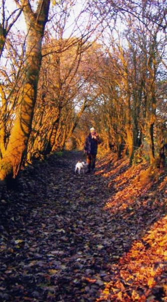 Autumn views near The Priory - Summerseat
17-Buildings and the Urban Environment-05-Street Scenes-028-Summerseat area
Keywords: 2005