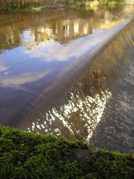 Autumn reflections - the weir on the River Irwell
19-Animals and Plants-01-General-000-General
Keywords: 2007