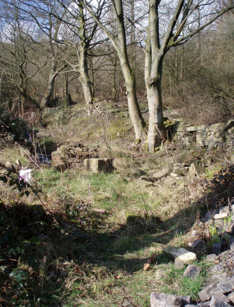 Kibboth Crew - Before and after the dig 
01-Ramsbottom Heritage Society-01-RHS Activities-011-Kibboth Crew Dig
Keywords: 2007