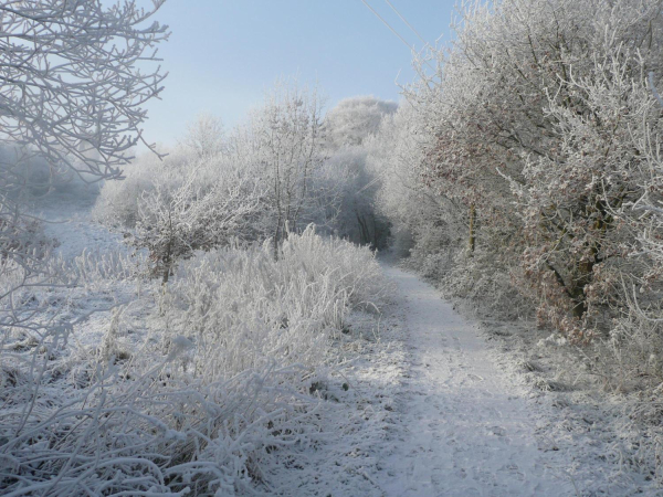 snow in St Andrew's fields 
06-Religion-01-Church Buildings-002-Church of England  -  St. Andrew, Bolton Street, Ramsbottom
Keywords: 2008