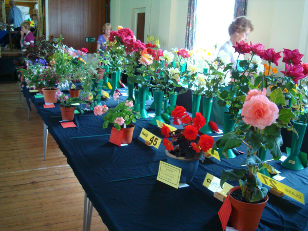 Edenfield & District Horticultural Society  95th Summer Show  8th August 2009
14-Leisure-04-Events-000-General
Keywords: 2009