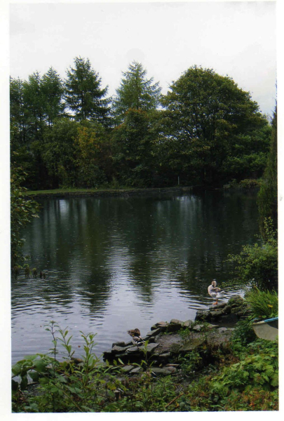 Springwood Lodge 
17-Buildings and the Urban Environment-05-Street Scenes-006-Carr Street and Tanners area
Keywords: 2010