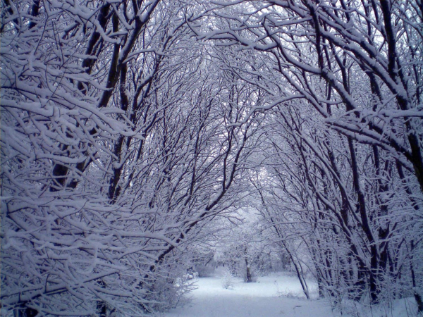 Winter Scene - riverside path, Nuttall 
17-Buildings and the Urban Environment-05-Street Scenes-019-Nuttall area
Keywords: 2010