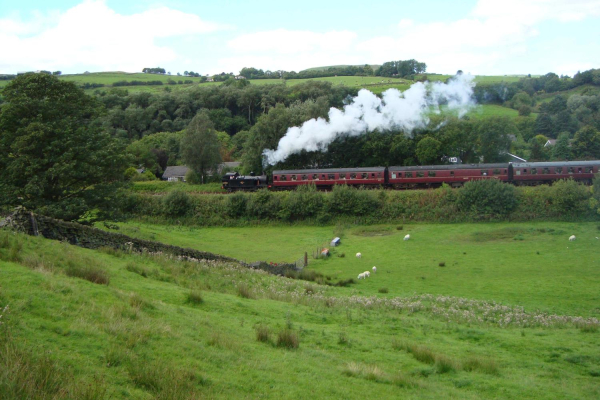 Train leaving Irwell Vale 
16-Transport-03-Trains and Railways-000-General
Keywords: 2010