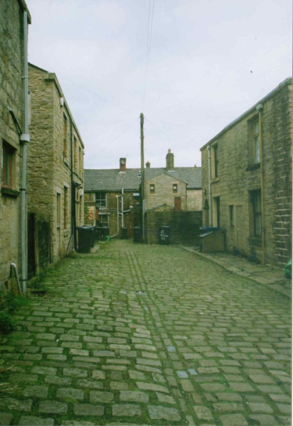 Wheelie Bins 
17-Buildings and the Urban Environment-02-Houses-000-General

Keywords: 2010