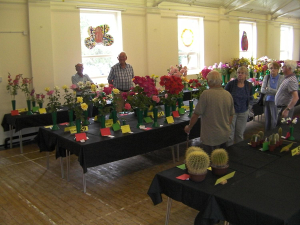 Edenfield & District Horticultural Show at St Phillip's church Hall - 10 August 2013 
14-Leisure-04-Events-000-General
Keywords: 2013