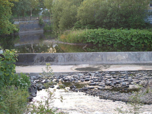 WEIR ON IRWELL AT PEEL BROW BRIDGE  
17-Buildings and the Urban Environment-05-Street Scenes-021-Peel Brow area
Keywords: 2013