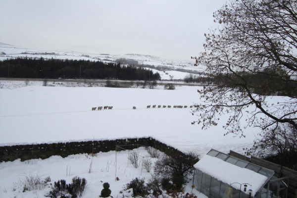 Looking east from EdenfieId to Helmshore Tor in the winter
17-Buildings and the Urban Environment-05-Street Scenes-011-Edenfield
Keywords: 2013