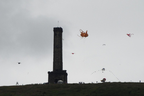 Kite Day on Holcombe Hill 
18-Agriculture and the Natural Environment-03-Topography and Landscapes-001-Holcombe Hill
Keywords: 2015