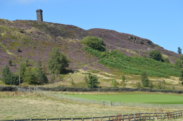 Heather on Holcombe Hill
18-Agriculture and the Natural Environment-03-Topography and Landscapes-001-Holcombe Hill
Keywords: 2015